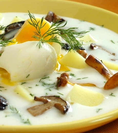 სოკოს წვნიანი