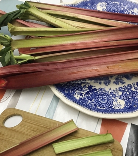 ტყემლის რეცეპტი ქართველი ემიგრანტებისთვის.