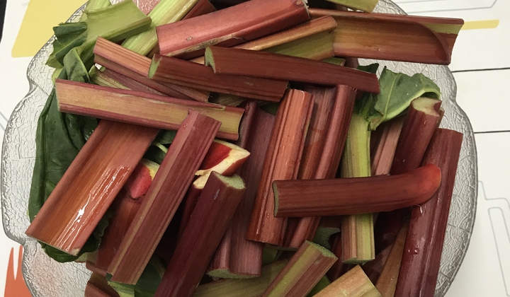 recipe-images/2020/05/9F0E4A67-6F6F-46BC-8683-3493FF847D0B_-_Tekle_Kapanadze_mJfHb1y.jpeg